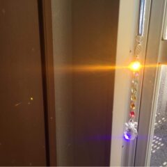 お客様から素敵な写真を頂きました