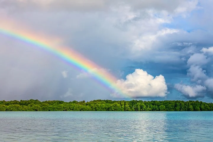 プライバシーポリシー