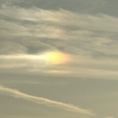 綺麗な彩雲をみました