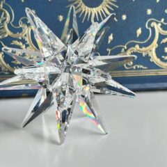 願っていた夢叶い！