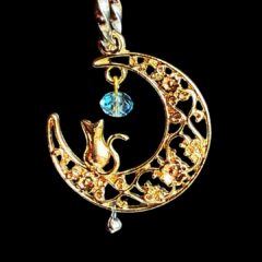 かわいい猫のチャームが変身