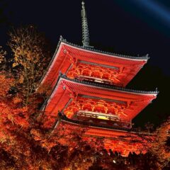 京都の紅葉綺麗でした